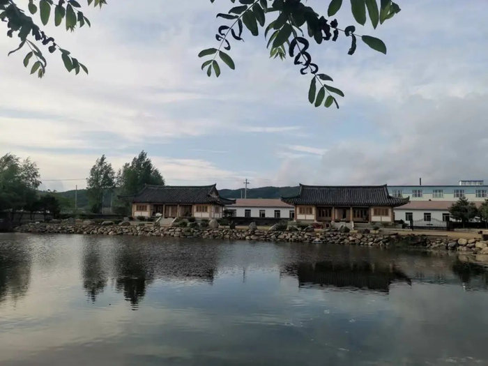 近年来,图们市凉水镇凉水村依托生态优势,大力推动中药材产业发展