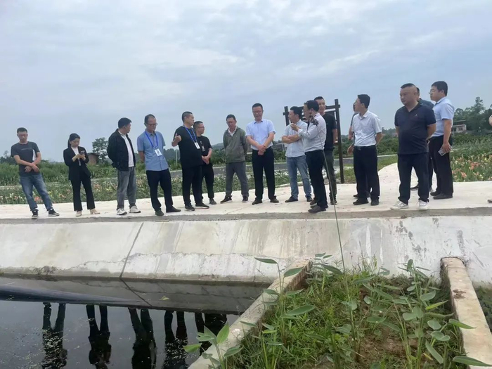 安岳县政协会同重庆市潼南区政协,联合视察毗邻地区姚市河流域水环境