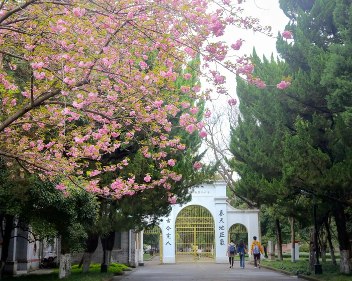 苏州大学|校区|独墅湖_新浪新闻
