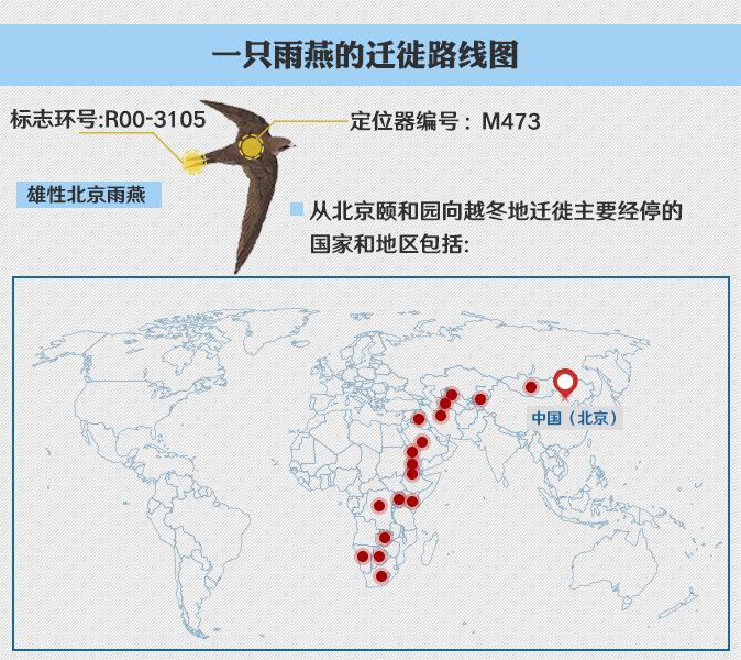 【地理观察】动物迁徙,地理视角看鸟的迁徙