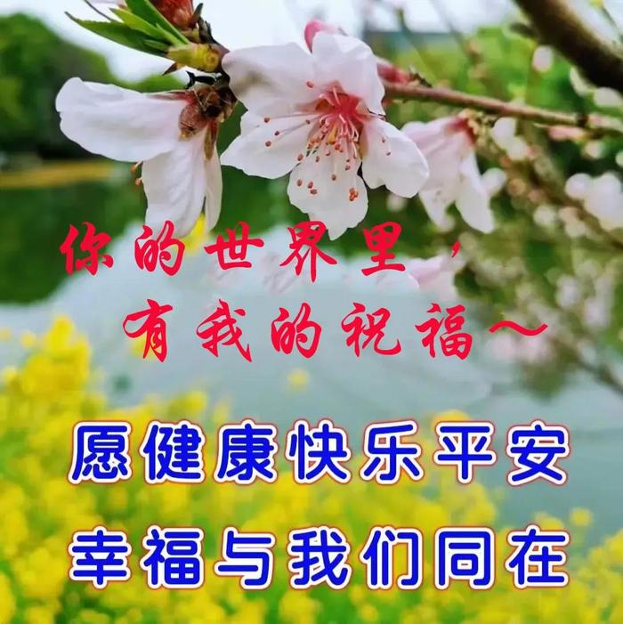 2024年6月12日最新早上好祝福语图片大全 精选早安问候祝福图片带字