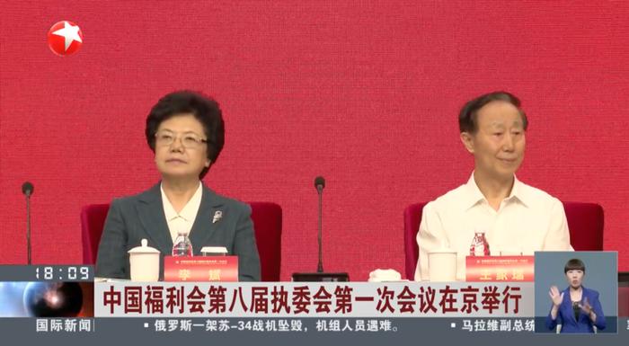 李斌新身份：从汽车巨头到科技领军人物 李斌 中福 宋庆龄 会议 教育 委员会 贺信 副主席 王家瑞 文化 sina.cn 第3张