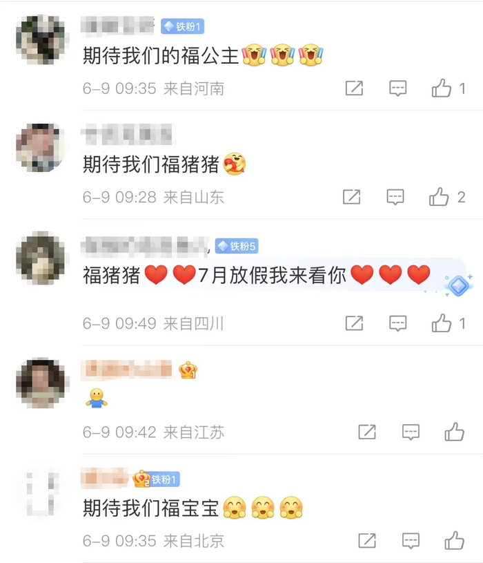 爆火！“顶流”今天正式复出！-今年顶流