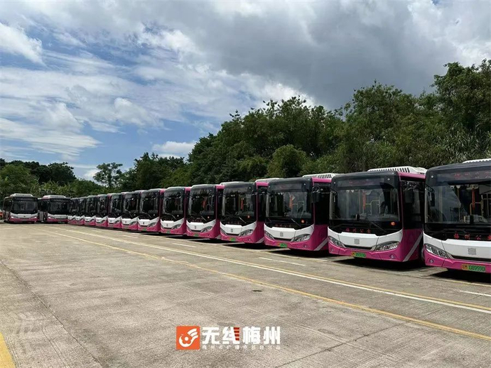 梅城100辆纯电动公交车将投入使用|梅州|公交车|城区_新浪新闻