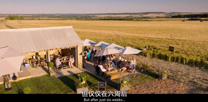 9.6分神剧归来,英国富翁的农民日记