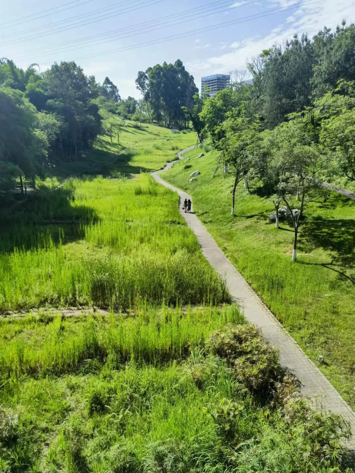水库周边是浅丘,与牧马山,黄龙溪,锦江绿道相连,森林,坡地,湖汊,沟壑