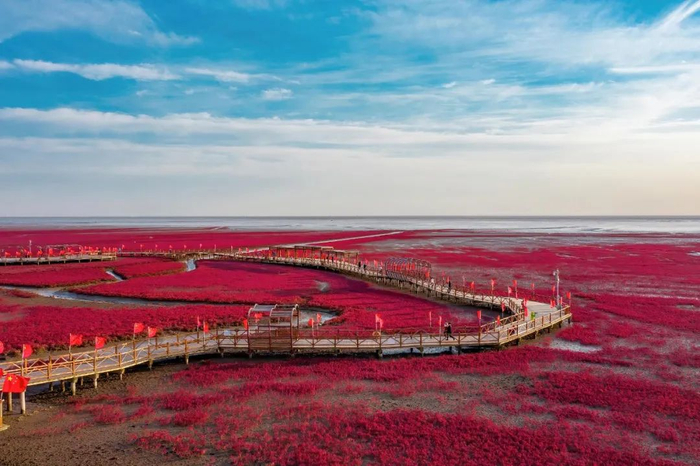 很多人也许知道辽宁盘锦的红海滩,但几乎无人知道它是在辽东湾.