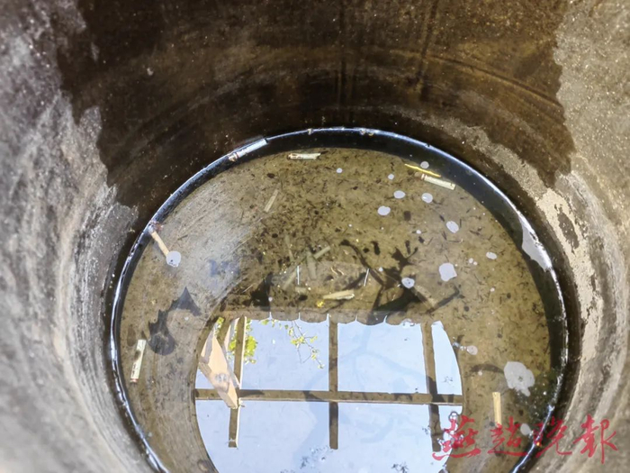 王先生家的水缸成了蚊子诞生的温床。燕赵晚报记者 放小北 摄