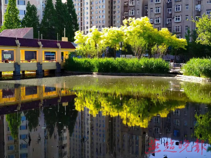 小区内的人工湖可通过水位波动防蚊。燕赵晚报记者 放小北 摄