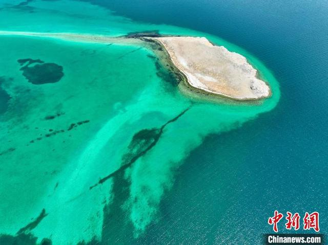 西藏错鄂湖候鸟的"大产房"|鸟岛|候鸟|产房_新浪新闻