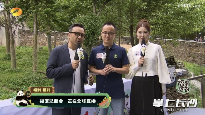 "福宝"来了 快来线上"云养"大熊猫吧