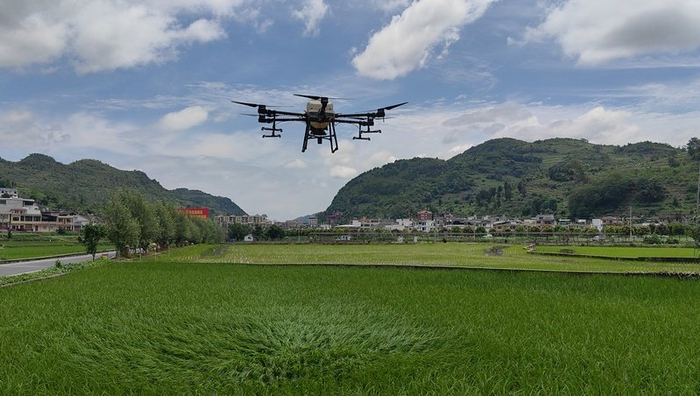 仁怀市茅坝镇:无人机喷洒农药 科技助农提质增效