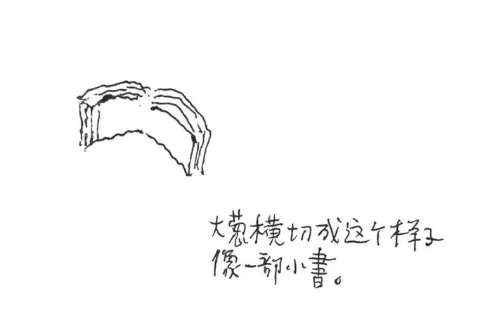 78岁奶奶突然走红,被封"年轻人的救星"