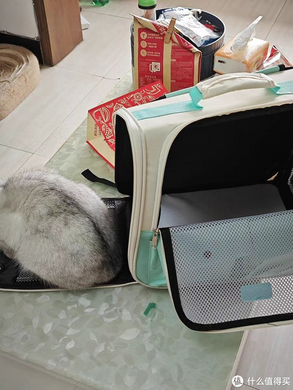 猫包外出便携包夏季透气双肩宠物背包大容量猫书包猫笼子猫咪用品