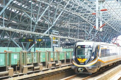 奋战当"夏" 项目建设加速跑