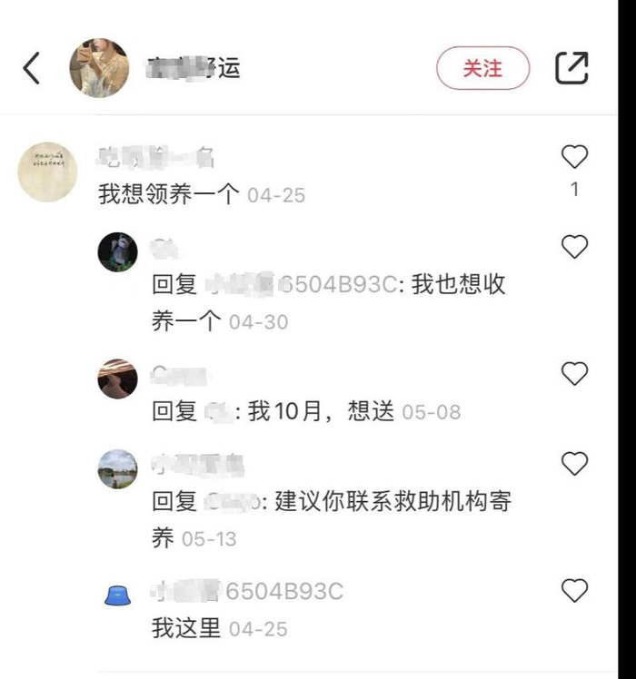 平台上关于非法领送养孩子的相关信息（截图时间6月11日）