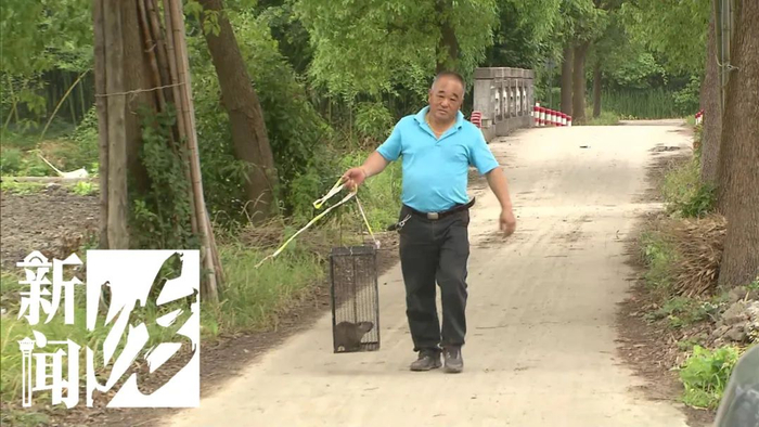 身份确认!沪多户人家果蔬消失,居然是外来物种…-上海果蔬价格