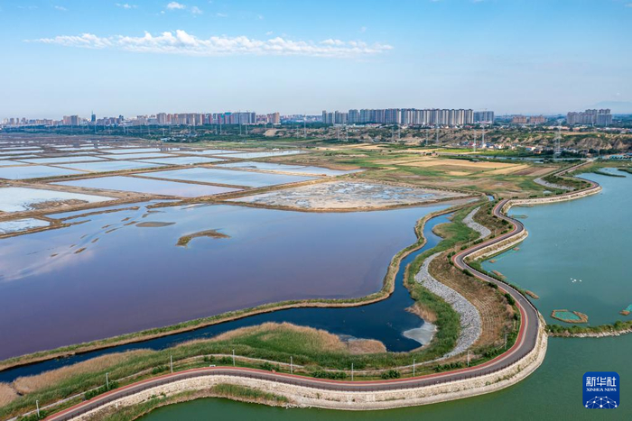 这是6月5日拍摄的山西运城盐湖环湖步道(无人机照片).