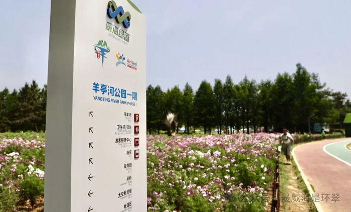 羊亭河公园最不缺的就是花了,姹紫嫣红的花海中朵朵绽放的鲜花随风
