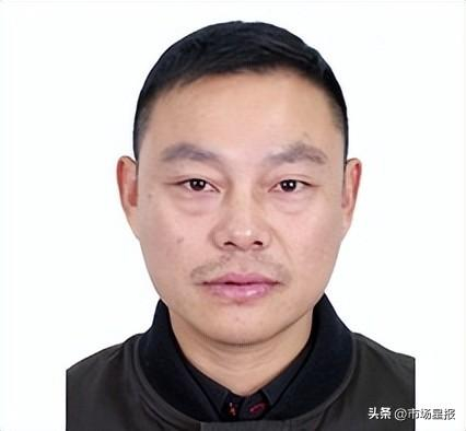 被执行人：杨树林