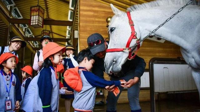 接连承办了全国马术三项赛锦标赛,陕西省青少年马术锦标赛等赛事,吸引