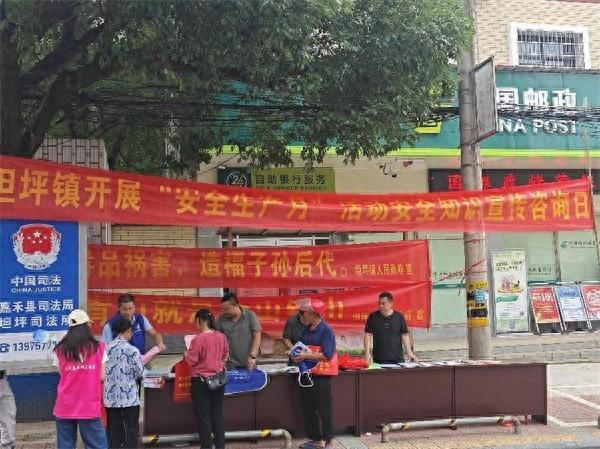 坦坪镇:扎实开展"安全生产月"集中宣传活动