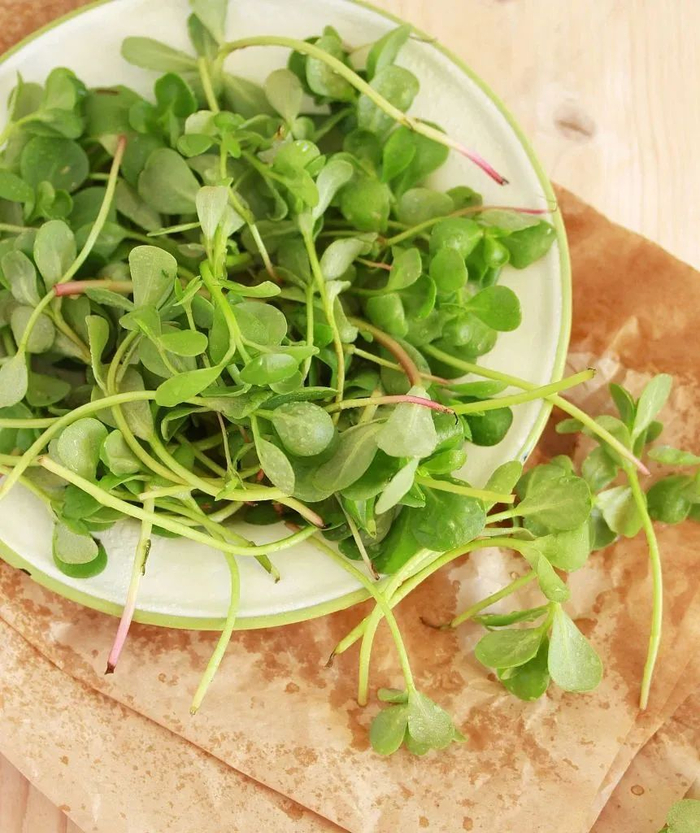 这种蔬菜现在吃正好,好处都在这里了