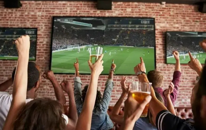 有多少人会看欧洲杯 他们都是什么人