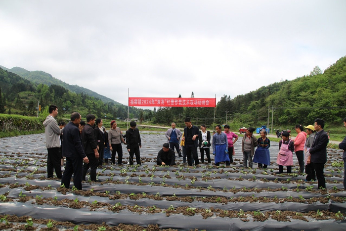 印江:奋力书写"强村富民"新答卷