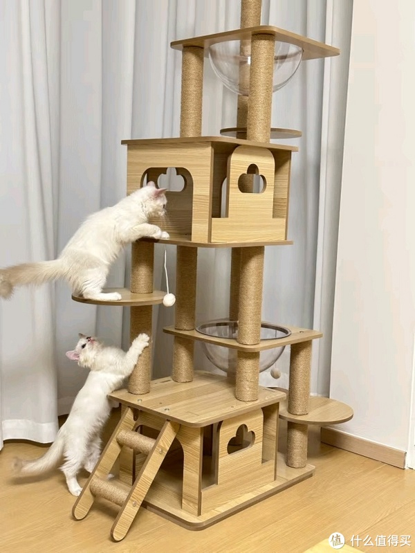 猫爬架大比拼