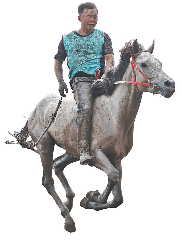 赛马节开幕|张永刚|刘畅|丁宁_新浪新闻