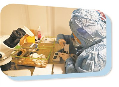 蔡磊-神济昌华渐冻症药物研发联合实验室科研人员正在进行相关研究。受访者供图