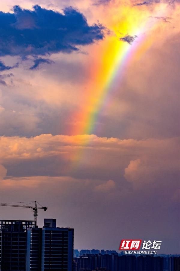 抬头见喜!大雨过后,长沙天空挂出了绚丽彩虹