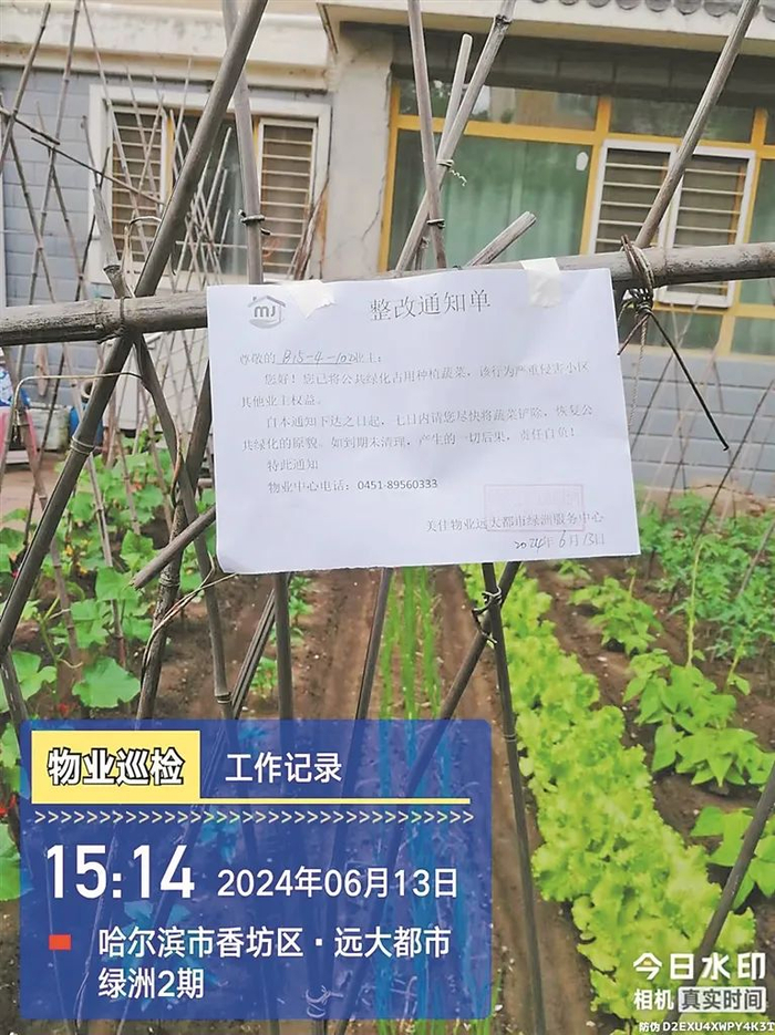 图片由美佳物业提供