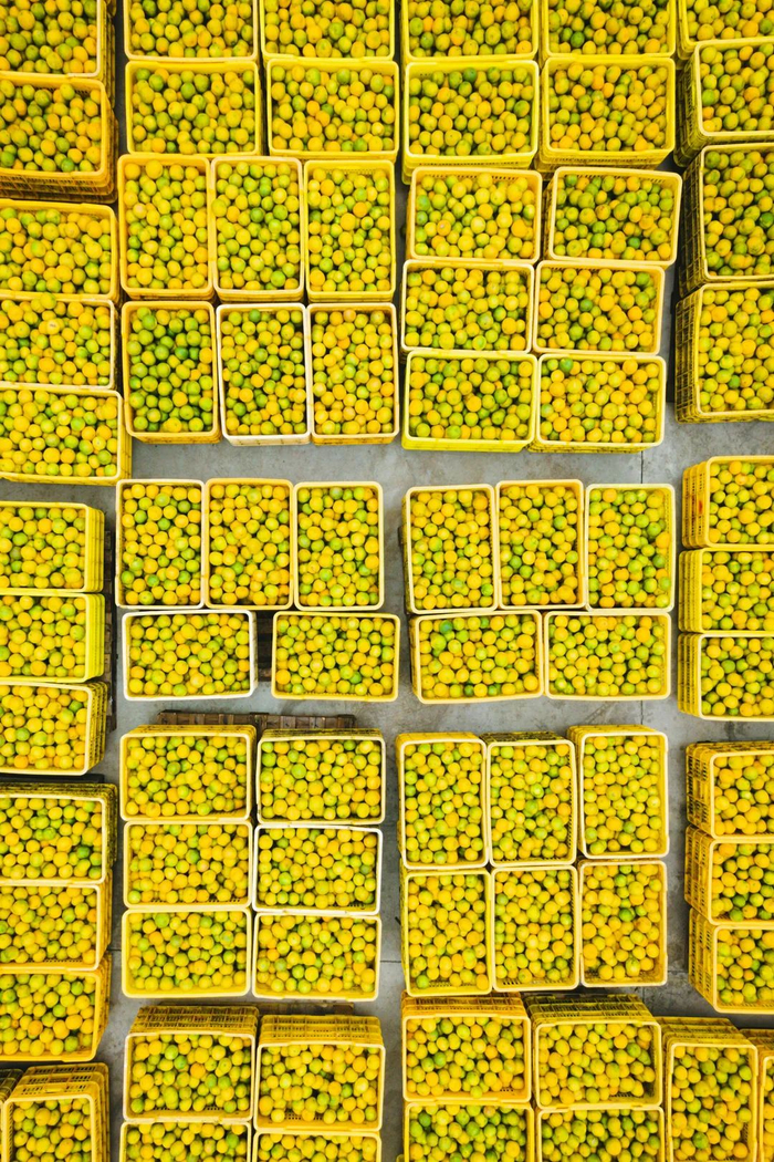 广东最"散装"的城市,如何捧出了"煲仔饭之神"?