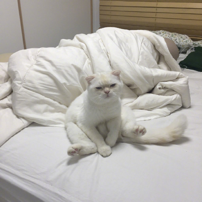 表情包,收藏了.