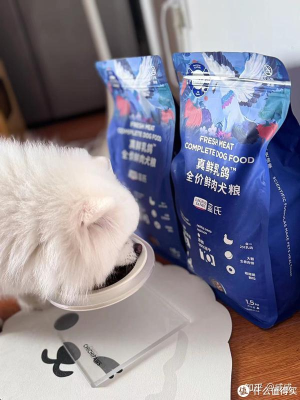 狗粮测评：品质时代的消费指南