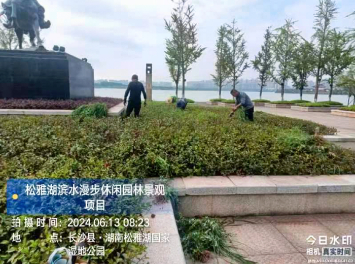 △松雅湖国家湿地公园整体提质项目在做收尾工作。松雅湖生态新城发展中心供图