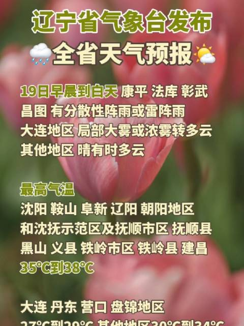 辽宁省气象台6月19日6时发布全省天气预报