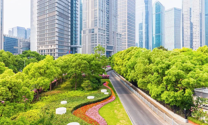 上海城市绿化园艺道路.(图/视觉中国)