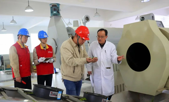 供电员工走访电炒茶工厂