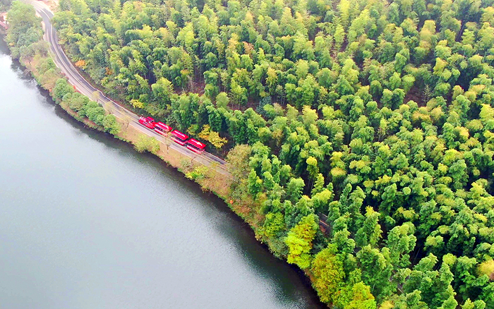 行驶在竹海深处的电动小火车