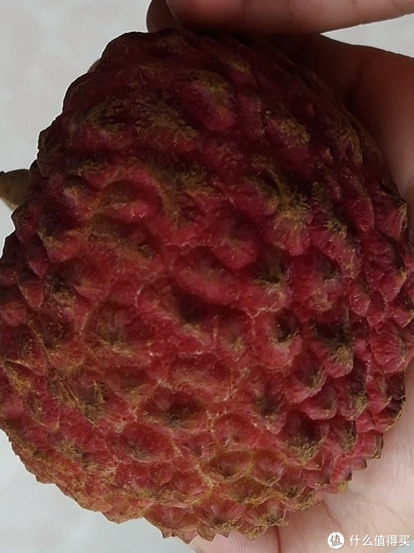 荔枝王又名紫娘喜,个头大且呈心形