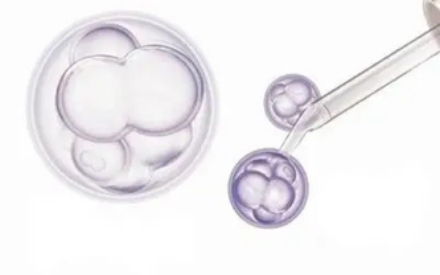 图源：干细胞探秘