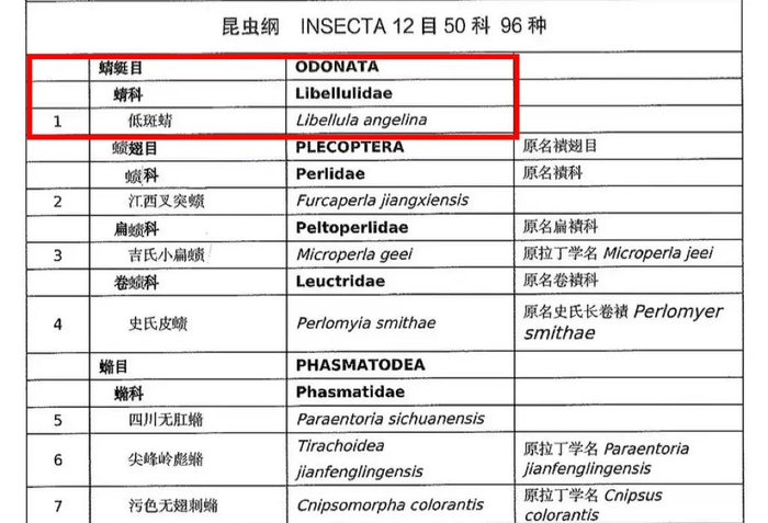 ▲2023年国家林草局制定的《有重要生态、科学、社会价值的陆生野生动物名录》保护动物名录中，低斑蜻是唯一一个蜻蜓目昆虫