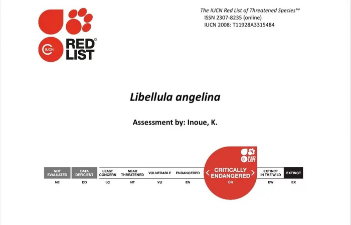 ▲《世界自然保护联盟濒危物种红色名录》（IUCN2006年ver3.1）中将低斑蜻列为极度濒危（CR）