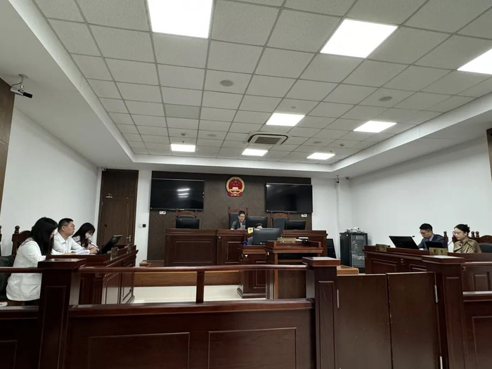 庭审现场。上海闵行法院供图