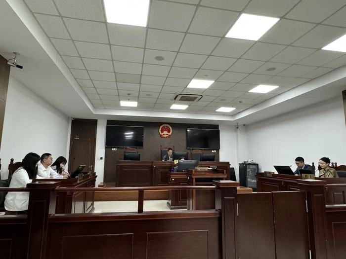 庭审现场。上海闵行法院供图