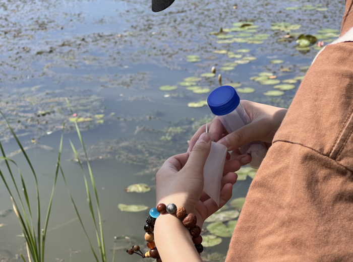 ▲工作人员正在进行水生昆虫采集