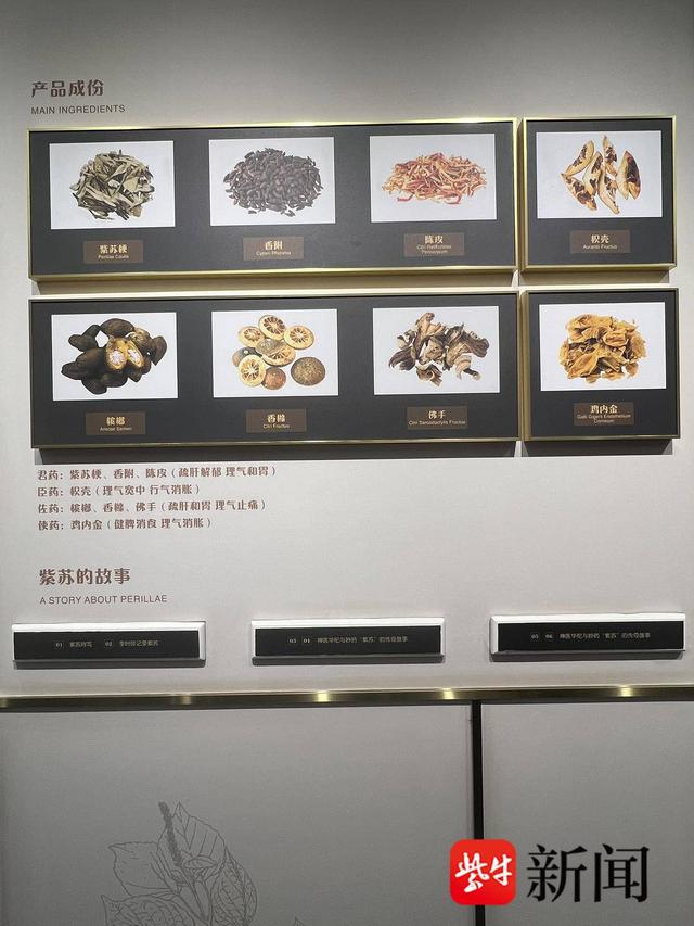 "无废城市"建设江苏行|扬子江药业集团积极建设"无废集团"